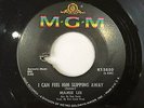 Mamie Lee - I Can Feel Him Slipping Away - MGM