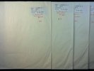 FLAMING LIPS Embryonic 2009 German 4LP 45rpm Test Pressing Unissued Configuratin