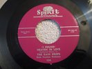 DOOWOP The Rain Drops I Found Love in Heaven gorgeous copy Spin-it mp3