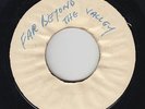 Roots Reggae 45 - Gregory Isaacs - Far Beyond The Valley - Blank - mp3