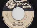 Ska Reggae 45 - Senor Rolando - And I Love Her - Supreme - mp3