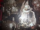 LED ZEPPELIN / IN THROUGH THE OUT DOOR / LP VINYL .. j page r plant