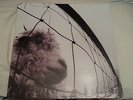 VINYL RECORD LP - PEARL JAM - VS