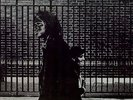 Neil Young - After The Gold Rush [Vinyl New]