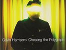 Gavin Harrison Cheating The Polygraph 12
