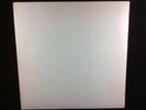 The Beatles White Album No. 354173 French Press Stereo Vinyl LP