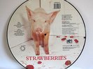 THE DAMNED: STRAWBERRIES - PICTURE DISC 1986 DOJO - NEAR MINT LP