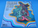 DHARMA BLUES BAND 