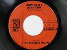 SWINGING HEARTS How Can I Love You   Spanish Love 620 Doo Wop R&B 45 HEAR