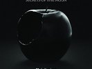 Secrets Of The Moon - Privilegivm Vinyl 2-LP Gatefold  grey