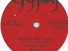 GYPSY NEVER WILL REGRET +2  S/T PRIVATE BOSTON  MODERN SOUL FUNK EP