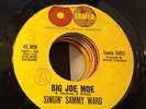 SINGIN SAMMY WARD - BIG JOE MOE - US TAMLA 7
