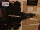 Pearl Jam Ten Newbury Exclusive #824