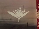 Copeland Ixora Twin Vinyl New Sealed Oop Sold Out 1St Press Lp