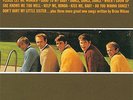 AP | The Beach Boys - Today  200g LP (mono) NEU