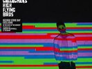 Noel Gallagher's High Flying Birds The Heat of the Moment Record Store Day 2015