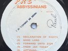 Abyssinians 