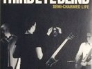 Third Eye Blind Semi-Charmed Life Tattoo of the Sun single 7