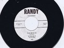 THE BEACH BOYS / BRAIN WILSON / KENNY & THE CADETS - BARBIE (Rare Re-issue 45rpm