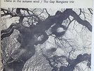 GAP MANGIONE TRIO - DIANA IN THE AUTUMN WIND - ORIGINAL LP - RARE, BREAKS, BEATS