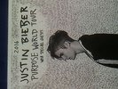 Stehplatz Ticket Justin Bieber Purpose World Tour Zürich