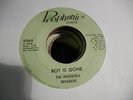 INCREDIBLE INVADERS COOL MICHIGAN GARAGE 45 PROPHONICS 2028 BOY IS GONE LISTEN