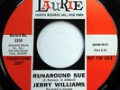JERRY WILLIAMS 45 Runaround Sue / Wanderer VG++ Teen PROMO Rock 1966 e2898