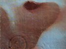 Pink Floyd, Meddle - Italy Original 1st issue