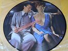 SCORPIONS LOVEDRIVE 1979 FRENCH PICTURE DISC LP 1979 HARVEST  PIC 8