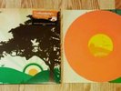 THE ACADEMY IS... Almost Here LP ORANGE VINYL fall out boy panic at the disco