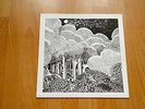 Shide & Acorn – Under The Tree lp ( limited 448 of 500 )