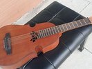 Special Rare Guitar Puerto Rico-10 string Cuatros Guitar