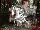 La Dispute: Wildlife Purple Vinyl LP/1000. Somewhere At The Bottom. Into It Over