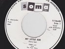 TERRY LEE and the POOR BOYS My Little Sue SOMA Rockabilly 45 REPRO Long Sold Out