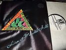 ART ENSEMBLE OF CHICAGO : LIVE AT MANDEL HALL WHITE LABEL PROMO 2LP 1974 DELMARK