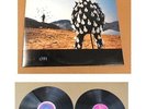 Orig Pink Floyd Delicate Sound Of Thunder Live 2-LP Set Near Mint Free Shipping