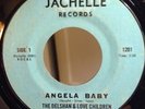 The Delshawn & Love Children, Angela Baby, Rare Funk 45 Female Vocal Unknown