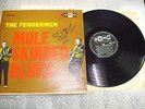 the Fendermen - Mule Skinner Blues 12