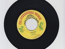 ITAL INTERNATIONAL/YUN PANG  -  COCO TEA  (87  DIGI  ROOTS 7