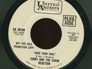 MOD GARAGE ROCK 45 - TERRY & CHAIN REACTION 