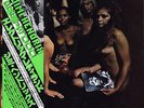 JIMI HENDRIX-ELECTRIC LADYLAND-JAPAN ISSUE GATEFOLD NUDE COVER 2LPs +OBI rrr