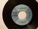 THE (13th) THIRTEENTH FLOOR ELEVATORS 45 