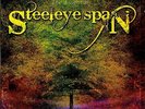 Steeleye Span - Catch Up: The Essential Steeleye Span