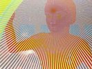 The Flaming Lips-Peace Sword  Vinyl / 12