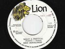 Eric Donaldson - What A Festival + I-ROY