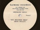 MIKE REILLY - BIG BUSINESS HEAD - RARE  - PSYCH - FUNK - ROCK - ACETATE