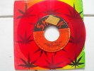 The Overtakers ?– That's The Way You Like It / The Big Takeover   / 7'' / G