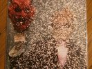 TY SEGALL Ty Segall LP - 1st press, unplayed/NEW, FUZZ, Mikal Cronin, Moonhearts
