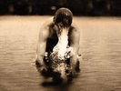 Half Moon Run - Sun Leads Me On