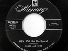 SUGAR & SPICE 45 Hey Joe / Indeed i love you MERCURY  Doowop w5134